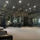 피티인거여 이미지