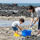 오조리-8 | 제주 8월 갯벌 조개잡이, 아이 손 잡고 직접 다녀와 봤습니다