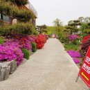 강화자연농원펜션 이미지