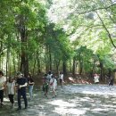 부소산 관광안내소 이미지