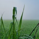 농업회사법인 건강드림(주) 이미지