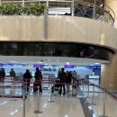 두배로할인마트 | 3일] 18주차 임산부 나고야 여행, 피치항공 김포 출발 후기, 트립트랩 레모 구매후기, 맛집 후기, 수화물