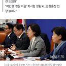 민주 &#34;노상원 전 정보사령관, 내란 주요 설계…검찰 개입정황도&#34; 이미지