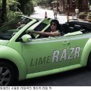 라임트리마케팅