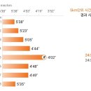(주)대륙에너지 | 가성비 대륙의 실수? '적토끼9 울트라' 내돈내산 실착 리뷰 (feat. 러닝화만 12켤레 러너의 솔직 후기)