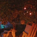 브라운도트부산신항만점 시그니처 이미지