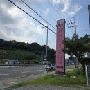 햇빛유치원 | 남양주애견유치원, 접근성 좋은 위치의 뀨카페&amp;댕치원 시츄아가와 함께 방문 후기