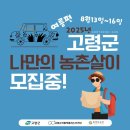 GR(고령군)-[대가야로]-상-35 | 고령 &#39;나만의 농촌살이&#39; 참여 후기(근데 답사를 곁들인,,)