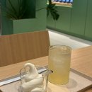 세진소프트 | [마곡 카페] 마곡 원그로브 카페 추천 <블루보틀 원그로브 카페> 내돈내산 후기!