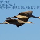 양승국 스테파노, SDB(하느님의 나라는 우리 인간의 노력보다 하느님의 자비와 사랑으로 건설되는 것입니다!) 이미지