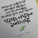 삶, 그리고 교육실천의 기록