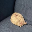 프리원핏 신림점 이미지