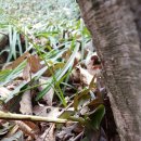 고향산천농장 이미지