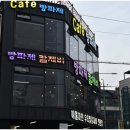 오이도 방파제 칼제비 이미지