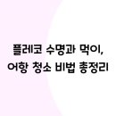 수명