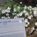 약수터(본오제1공원) 입구 | 공주 마곡사 관람 후기: 수많은 돌탑 위로 세워진 염원, 백범 명상길