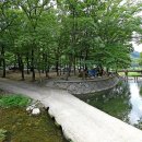 계림정야영장 이미지