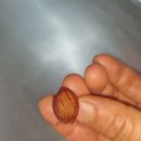 노천농장 이미지