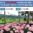 6월26일(당 금) 만원상당의체험 밤다식만들기, 마곡사,공주유구 수국꽃축제감상,고마나루 솔밭 이미지