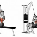 울트라 짐 이미지