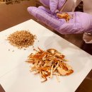 다스림한의원 이미지