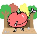 꽃집 릴리안 이미지