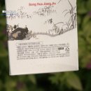 가람인터내셔널 이미지