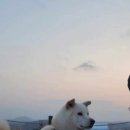 가람게스트하우스 이미지