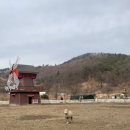 연꽃목장 이미지