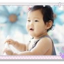 레몬트리 이미지