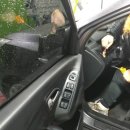 하드카케어 이미지