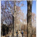 풍곡리마을회관 | [20171217]방화역에서 평화누리자전거길(행주대교 남단~전류리포구) 따라 유유히 걷기