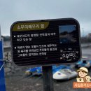 인천 소무의도 여행 먹구름도 못 막는 텐션