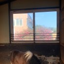 동이목장 이미지