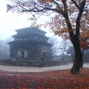 가을단풍(경주) 이미지