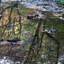 팔덕면사무소 이미지