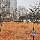 고양시 어린이교통공원 이미지