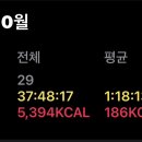 필라테스(취미) 이미지