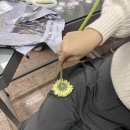 반짝이언냐 이미지