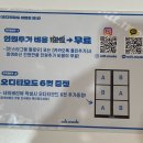 오디디스튜디오 | 애견동반 🎬웨딩컨셉찍기,대전 셀프사진관 오디티모드 📷