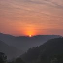 개울건너집 민박 | 2022천연벌꿀 100% 아카시아꿀 햇꿀 풍년일세