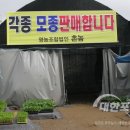 강화농산물판매장