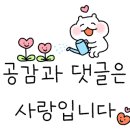 하얀나라세탁소 - 군산시 하나운로 18 | 하얀나라세탁소