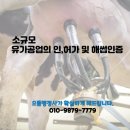 으뜸행정사 이미지