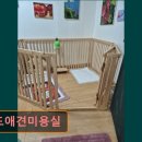 월드애견미용실 이미지