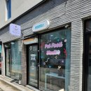 댕댕로망스 이미지