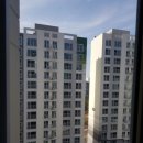 수목원풍경그린 이미지