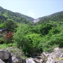 무릉도원 이미지