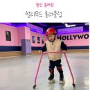 헐리우드롤러클럽 네이버블로그