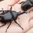 김포 자연 농장 이미지